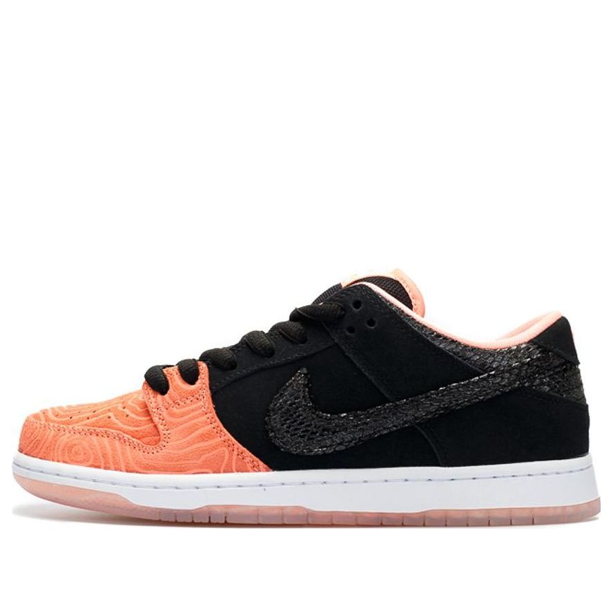Nike Premier x Dunk Low Pro SB 'Fish Ladder' 313170-603 Iconic Trainers